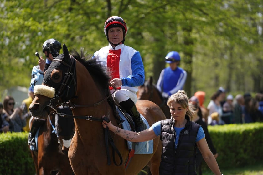 Majówka na Partynicach 2023