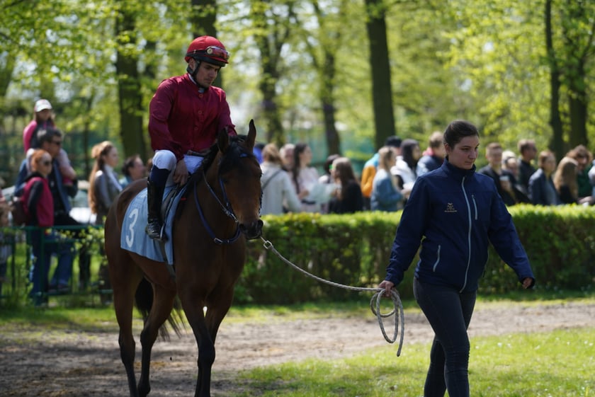 Majówka na Partynicach 2023