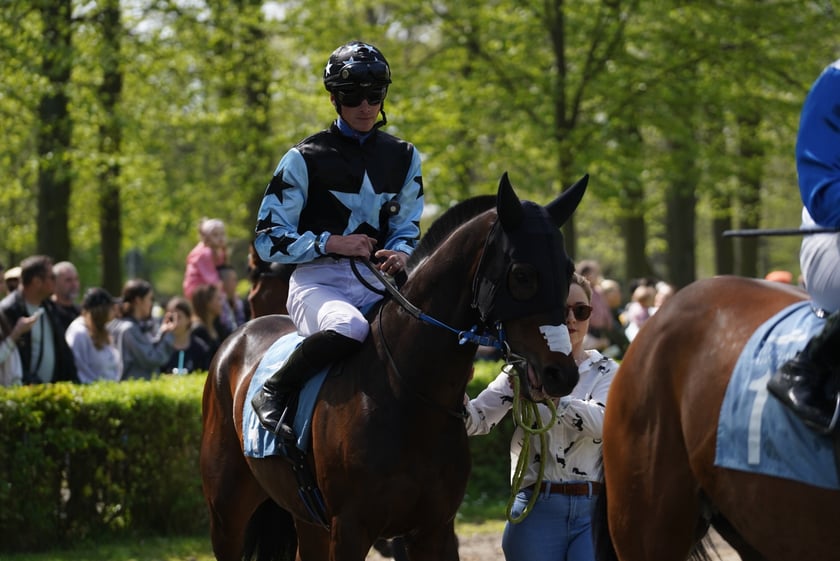 Majówka na Partynicach 2023