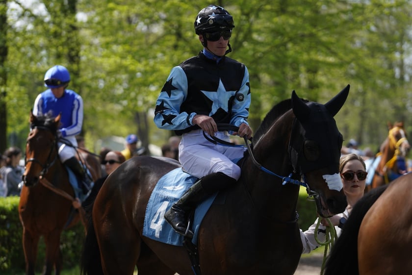 Majówka na Partynicach 2023