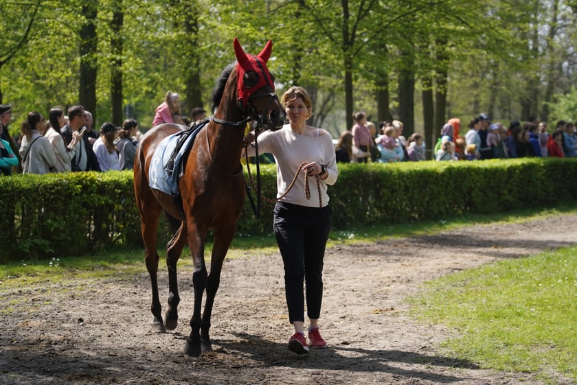 Majówka na Partynicach 2023