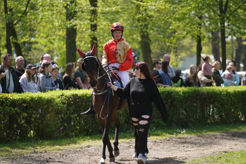 Majówka na Partynicach 2023