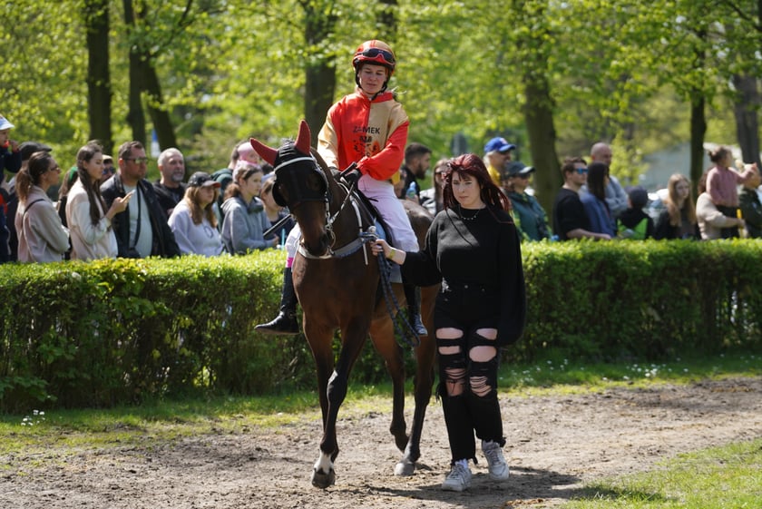 Majówka na Partynicach 2023