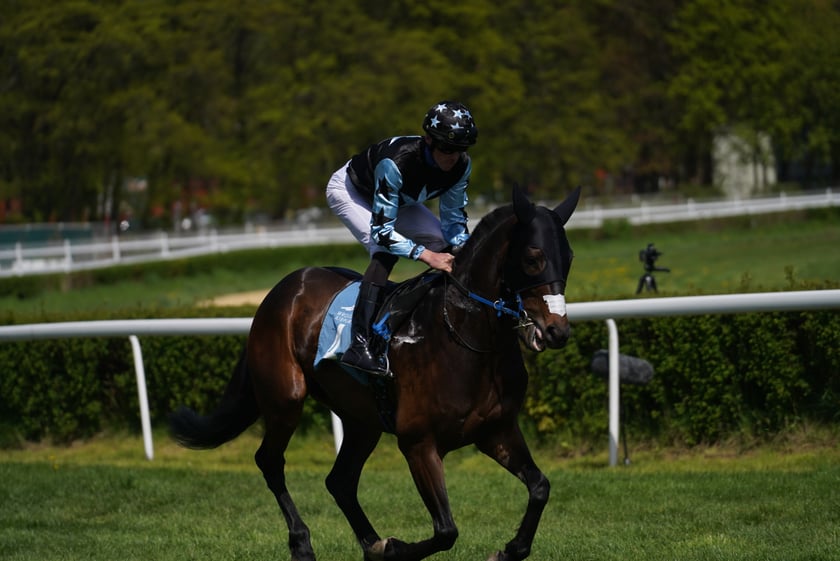 Majówka na Partynicach 2023