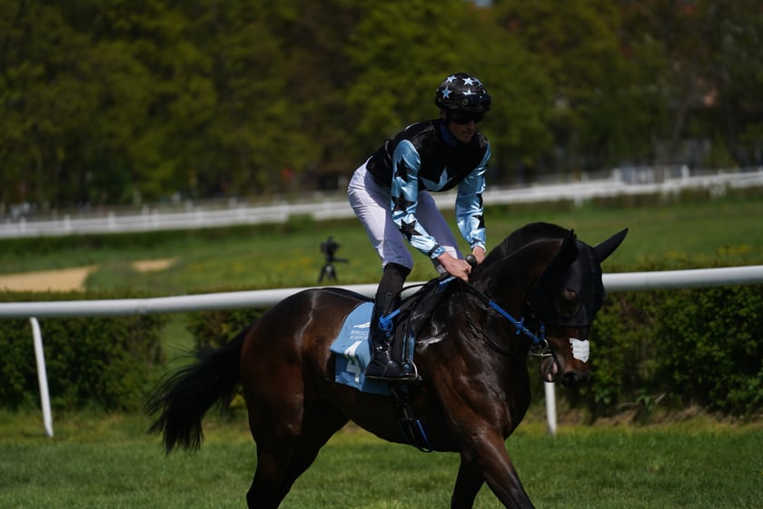 Majówka na Partynicach 2023