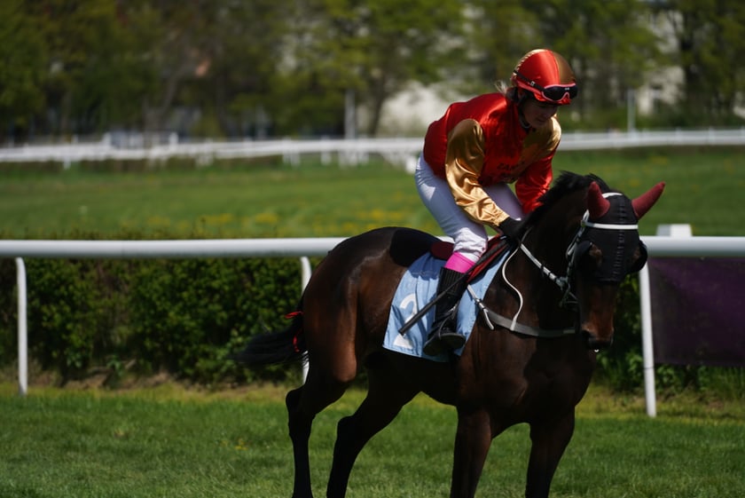 Majówka na Partynicach 2023