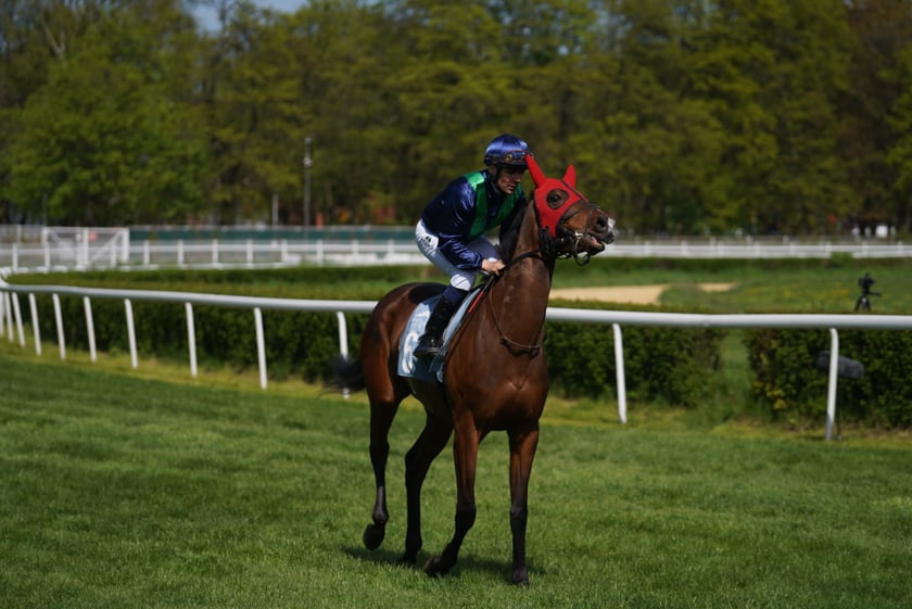 Majówka na Partynicach 2023