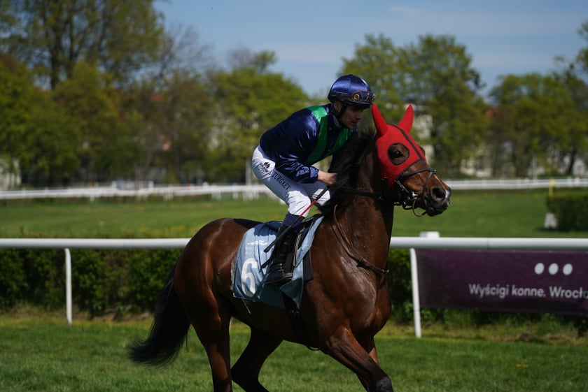 Majówka na Partynicach 2023