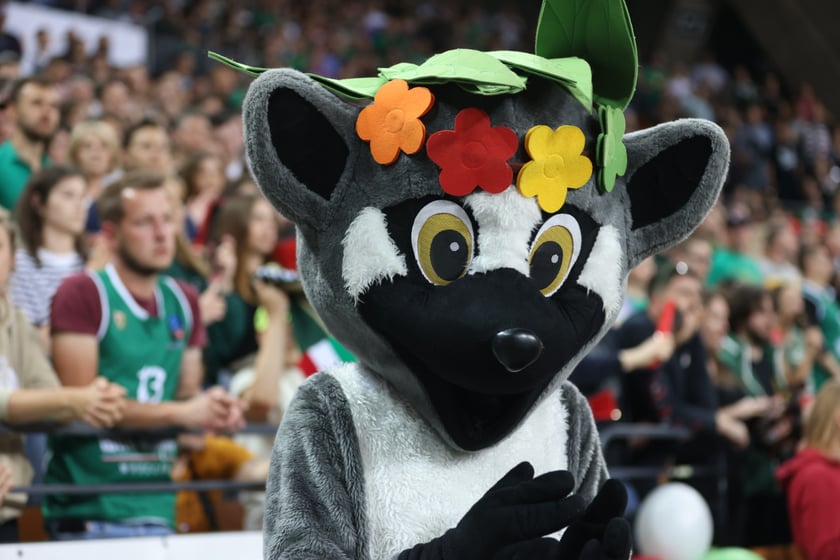 Zdjęcia kibiców