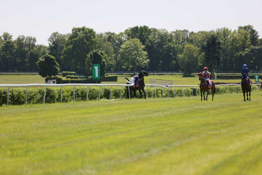 Ladies Day 2023 na Partynicach