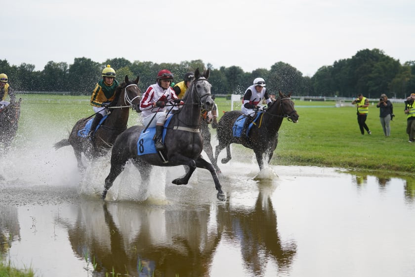 Wielka Wrocławska, gonitwa sezonu na Wrocławskim Torze Wyścigów Konnych Partynice