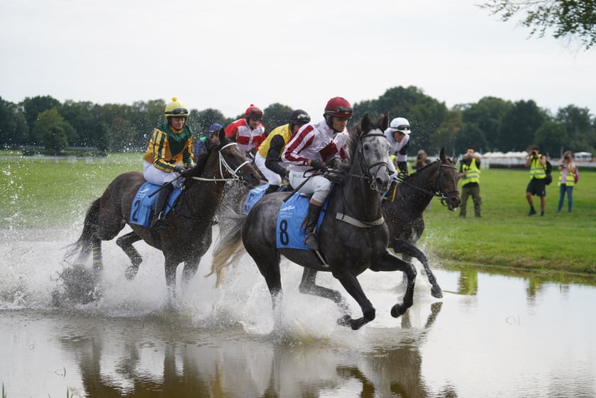 Wielka Wrocławska, gonitwa sezonu na Wrocławskim Torze Wyścigów Konnych Partynice