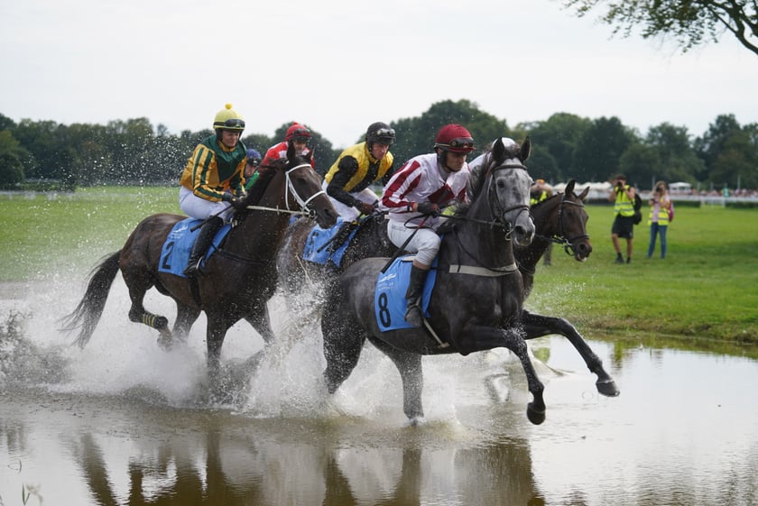 Wielka Wrocławska, gonitwa sezonu na Wrocławskim Torze Wyścigów Konnych Partynice