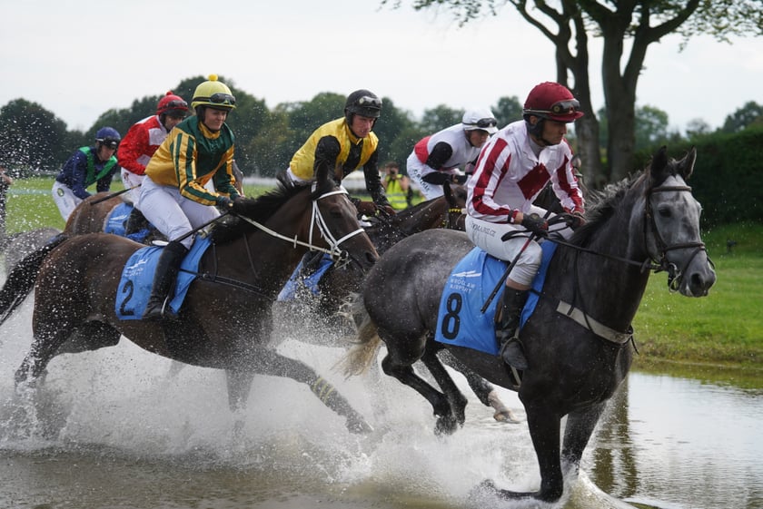 Wielka Wrocławska, gonitwa sezonu na Wrocławskim Torze Wyścigów Konnych Partynice