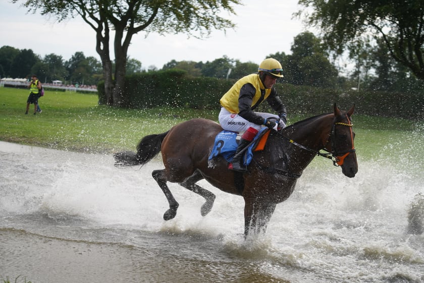 Wielka Wrocławska, gonitwa sezonu na Wrocławskim Torze Wyścigów Konnych Partynice