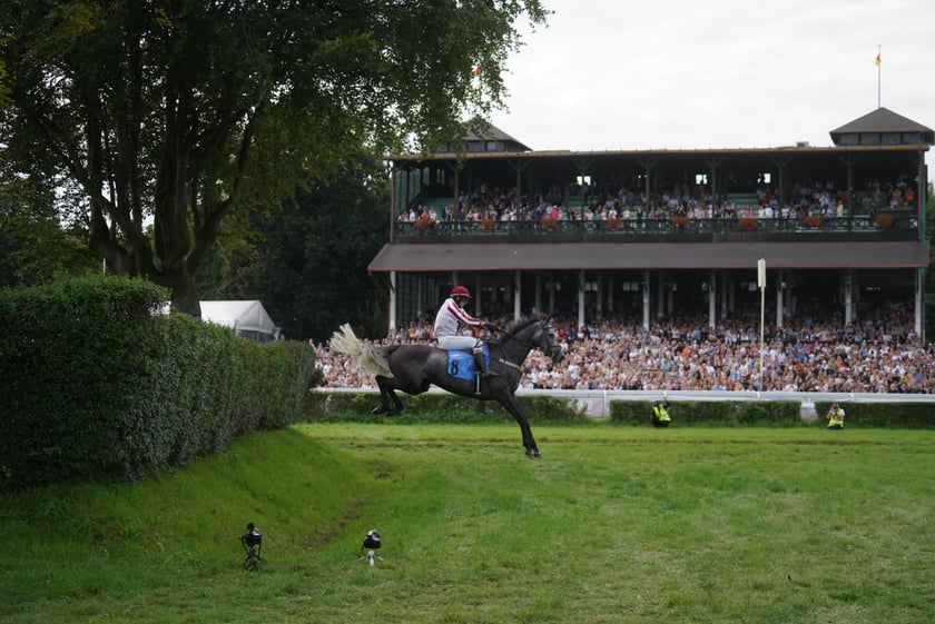 Wielka Wrocławska, gonitwa sezonu na Wrocławskim Torze Wyścigów Konnych Partynice