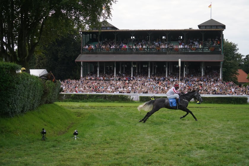 Wielka Wrocławska, gonitwa sezonu na Wrocławskim Torze Wyścigów Konnych Partynice