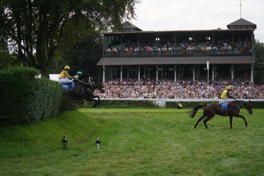 Wielka Wrocławska, gonitwa sezonu na Wrocławskim Torze Wyścigów Konnych Partynice