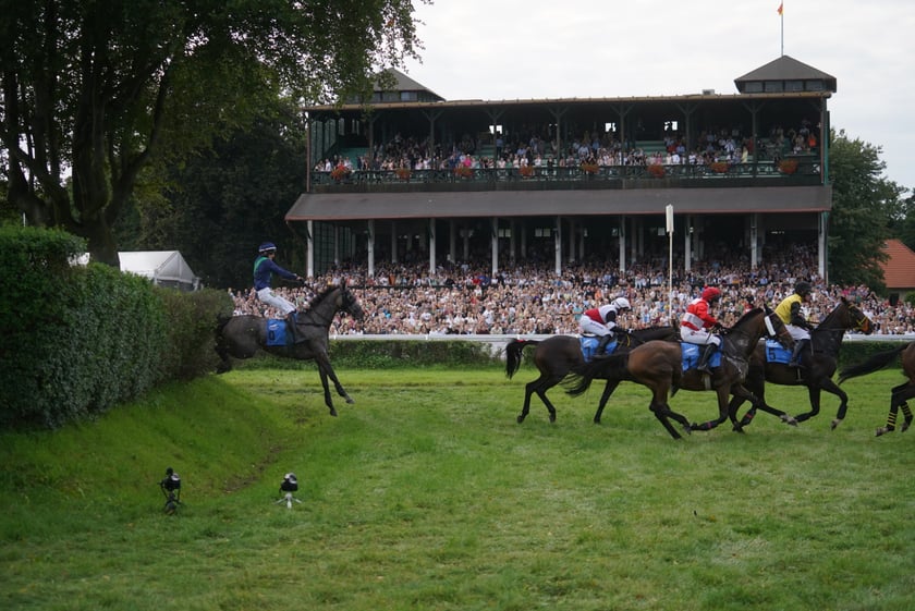 Wielka Wrocławska, gonitwa sezonu na Wrocławskim Torze Wyścigów Konnych Partynice