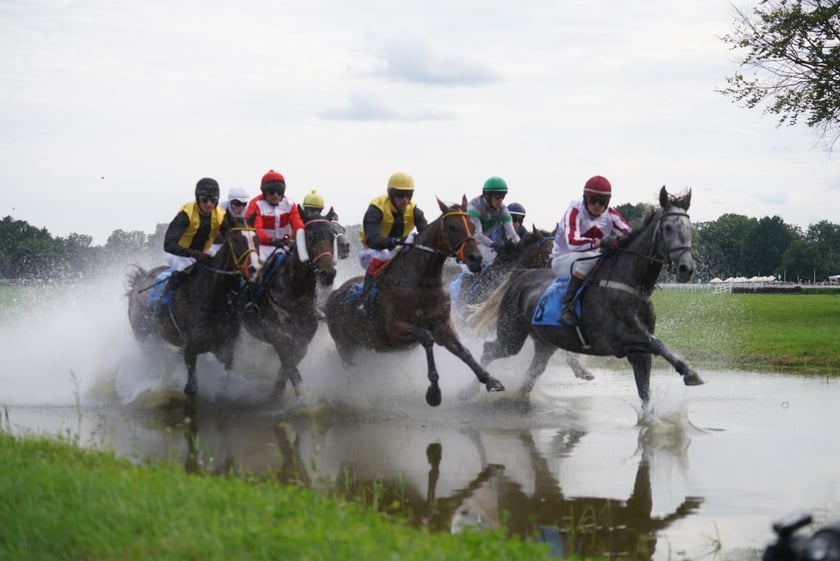 Wielka Wrocławska, gonitwa sezonu na Wrocławskim Torze Wyścigów Konnych Partynice