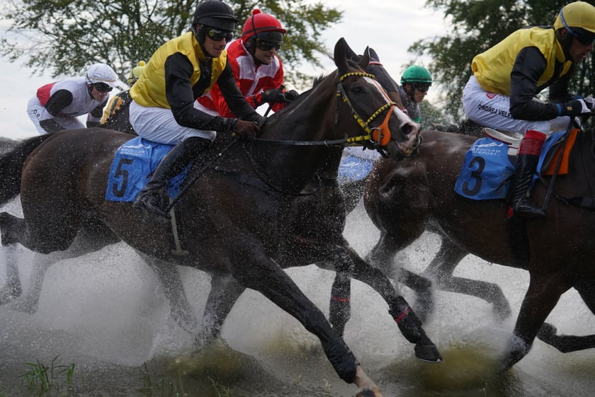 Wielka Wrocławska, gonitwa sezonu na Wrocławskim Torze Wyścigów Konnych Partynice