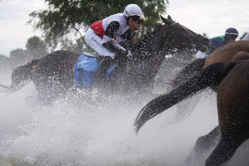 Wielka Wrocławska, gonitwa sezonu na Wrocławskim Torze Wyścigów Konnych Partynice