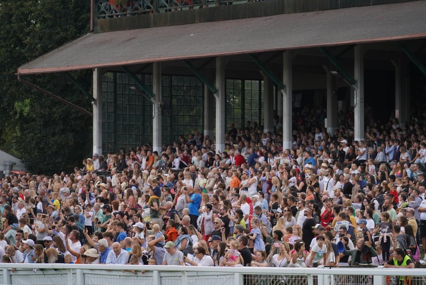Wielka Wrocławska, gonitwa sezonu na Wrocławskim Torze Wyścigów Konnych Partynice