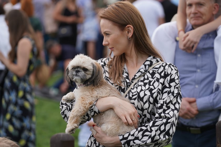 Wielka Wrocławska, gonitwa sezonu na Wrocławskim Torze Wyścigów Konnych Partynice