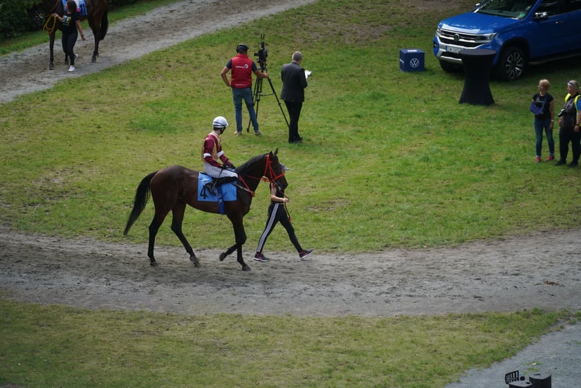 Wielka Wrocławska, gonitwa sezonu na Wrocławskim Torze Wyścigów Konnych Partynice
