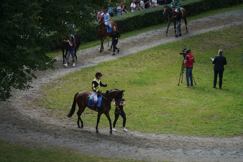 Wielka Wrocławska, gonitwa sezonu na Wrocławskim Torze Wyścigów Konnych Partynice
