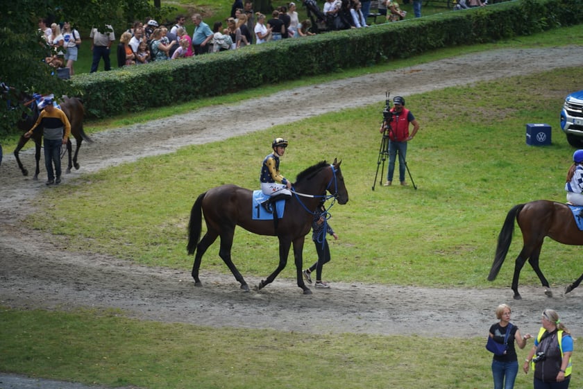 Wielka Wrocławska, gonitwa sezonu na Wrocławskim Torze Wyścigów Konnych Partynice