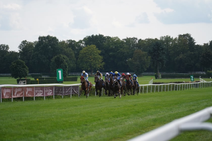 Wielka Wrocławska, gonitwa sezonu na Wrocławskim Torze Wyścigów Konnych Partynice