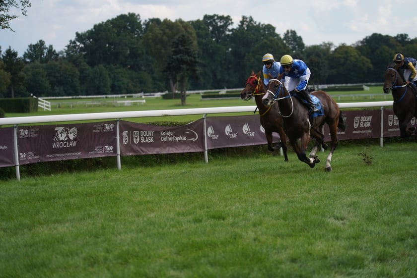 Wielka Wrocławska, gonitwa sezonu na Wrocławskim Torze Wyścigów Konnych Partynice