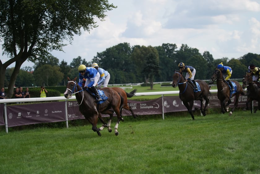 Wielka Wrocławska, gonitwa sezonu na Wrocławskim Torze Wyścigów Konnych Partynice