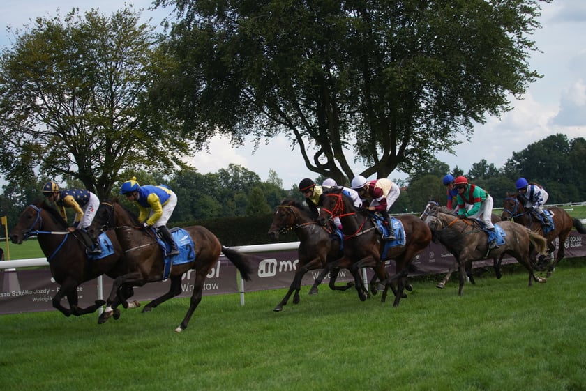 Wielka Wrocławska, gonitwa sezonu na Wrocławskim Torze Wyścigów Konnych Partynice