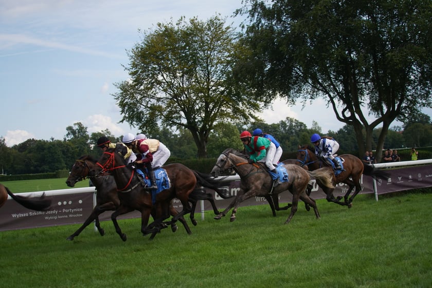 Wielka Wrocławska, gonitwa sezonu na Wrocławskim Torze Wyścigów Konnych Partynice
