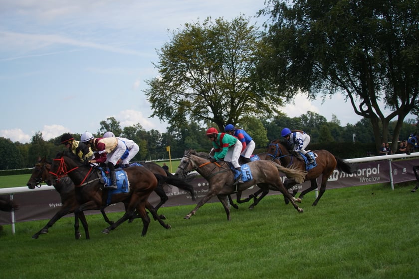 Wielka Wrocławska, gonitwa sezonu na Wrocławskim Torze Wyścigów Konnych Partynice