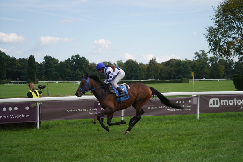 Wielka Wrocławska, gonitwa sezonu na Wrocławskim Torze Wyścigów Konnych Partynice