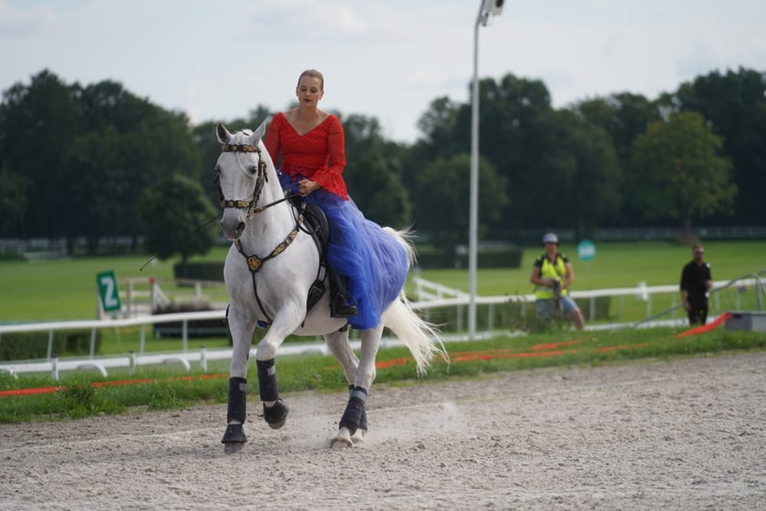 Wielka Wrocławska, gonitwa sezonu na Wrocławskim Torze Wyścigów Konnych Partynice