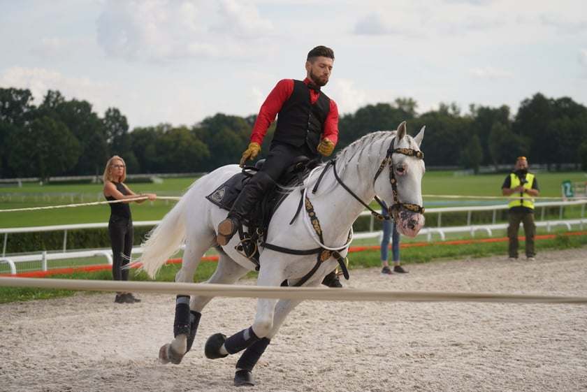 Wielka Wrocławska, gonitwa sezonu na Wrocławskim Torze Wyścigów Konnych Partynice