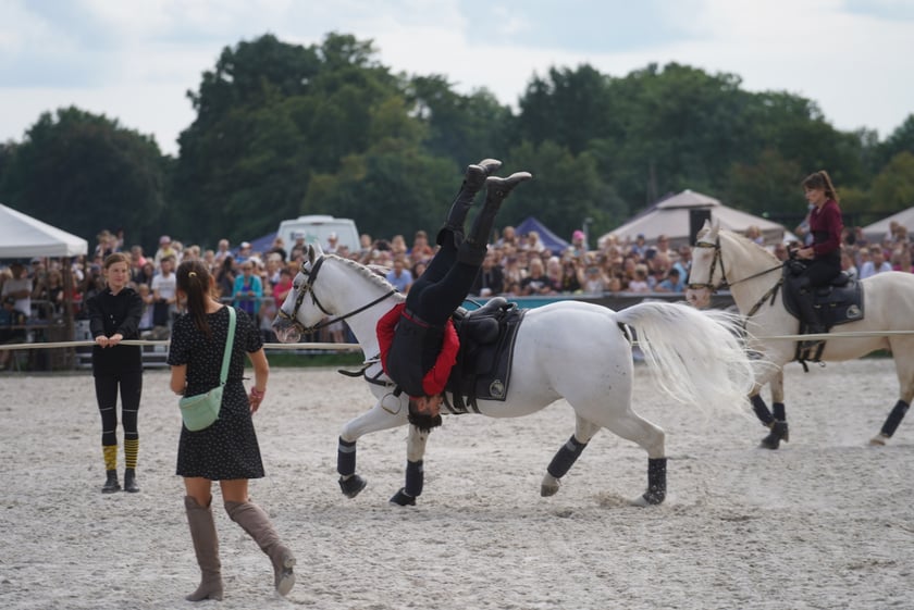 Wielka Wrocławska, gonitwa sezonu na Wrocławskim Torze Wyścigów Konnych Partynice