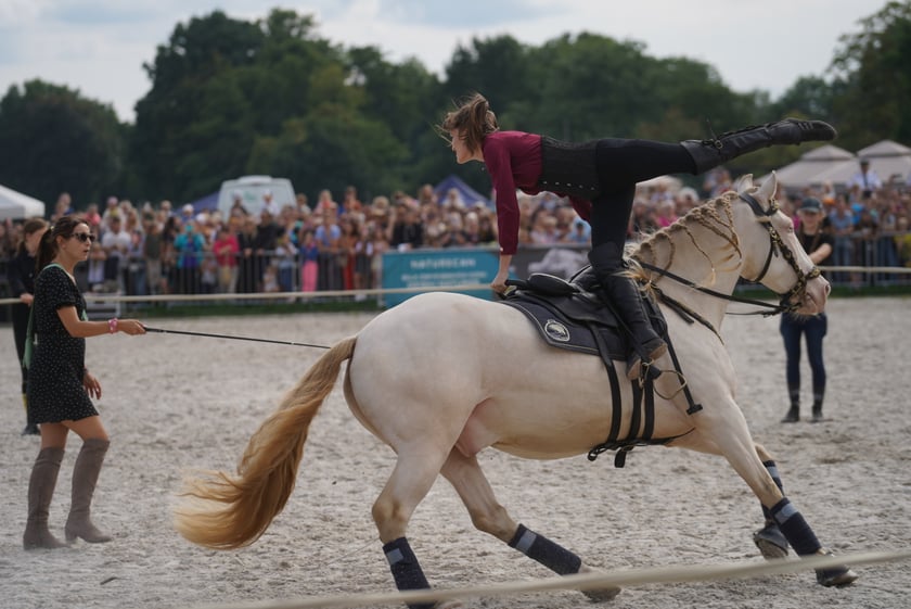 Wielka Wrocławska, gonitwa sezonu na Wrocławskim Torze Wyścigów Konnych Partynice