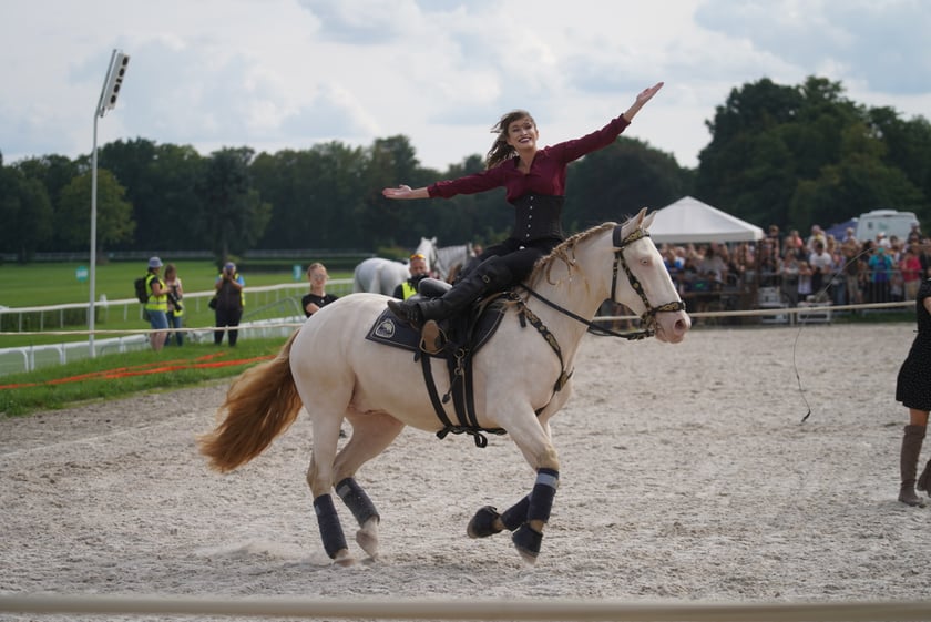 Wielka Wrocławska, gonitwa sezonu na Wrocławskim Torze Wyścigów Konnych Partynice