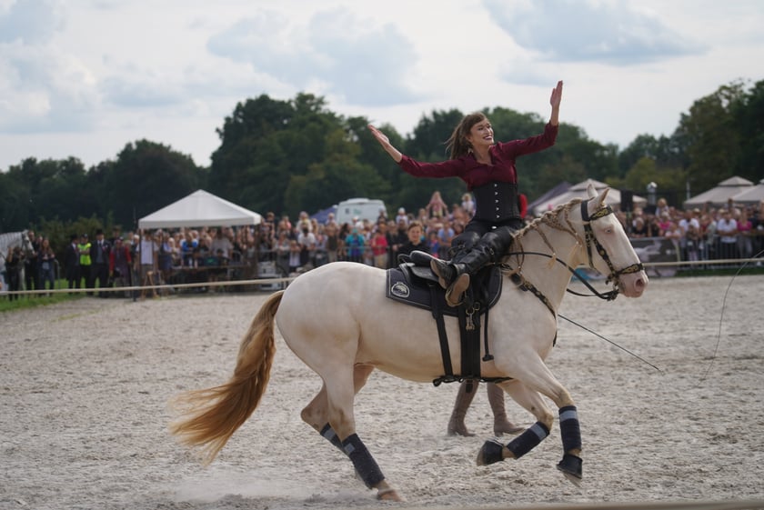 Wielka Wrocławska, gonitwa sezonu na Wrocławskim Torze Wyścigów Konnych Partynice