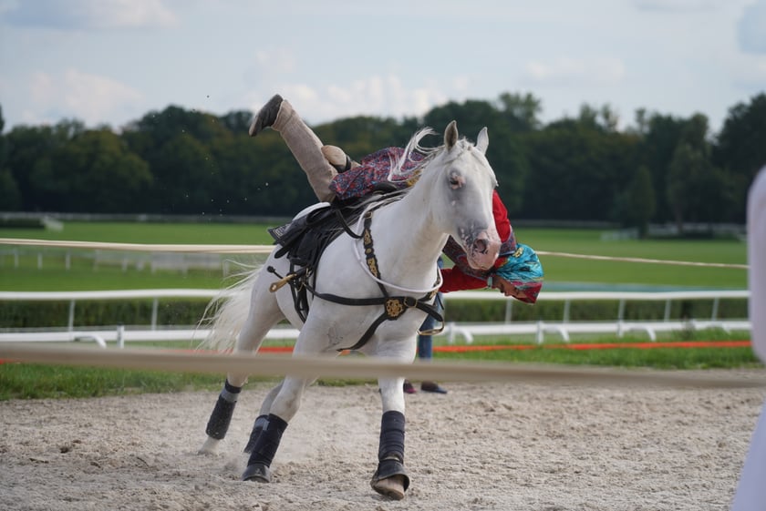 Wielka Wrocławska, gonitwa sezonu na Wrocławskim Torze Wyścigów Konnych Partynice