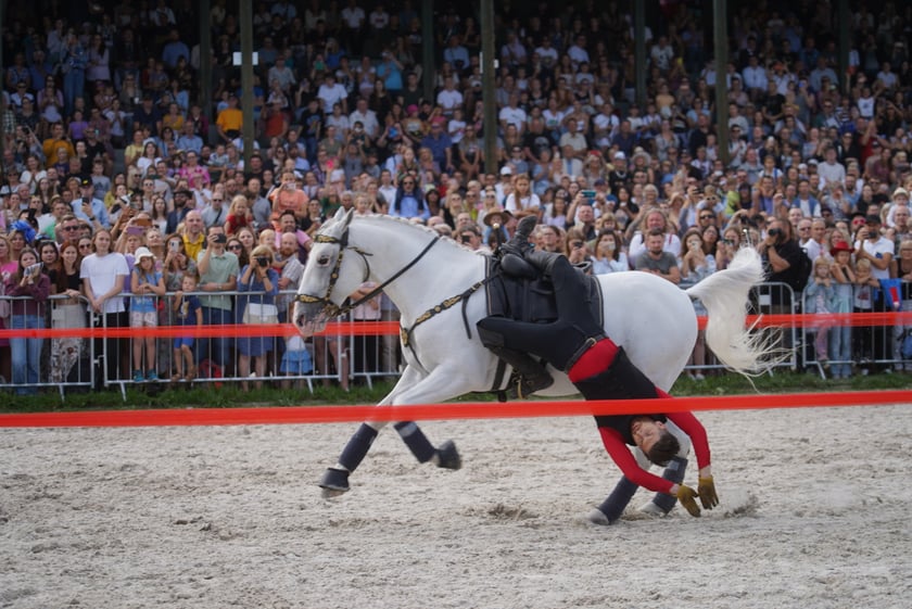 Wielka Wrocławska, gonitwa sezonu na Wrocławskim Torze Wyścigów Konnych Partynice