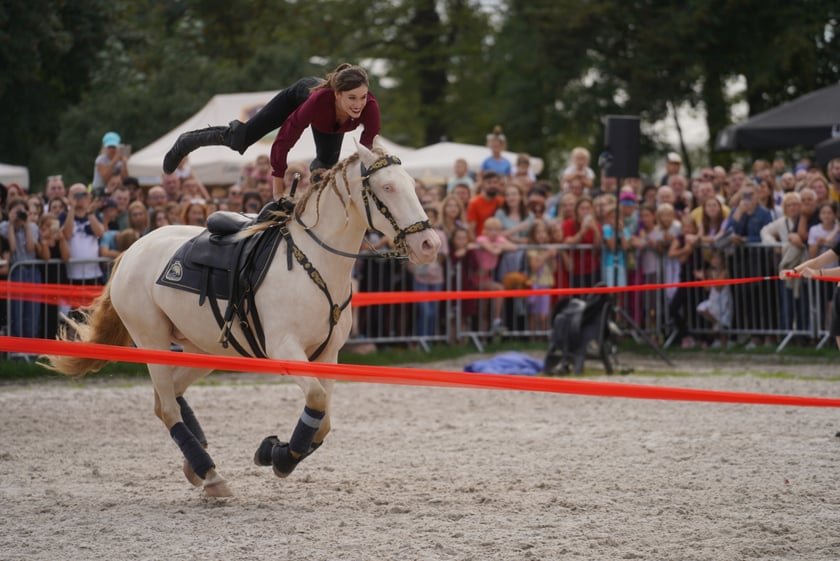 Wielka Wrocławska, gonitwa sezonu na Wrocławskim Torze Wyścigów Konnych Partynice