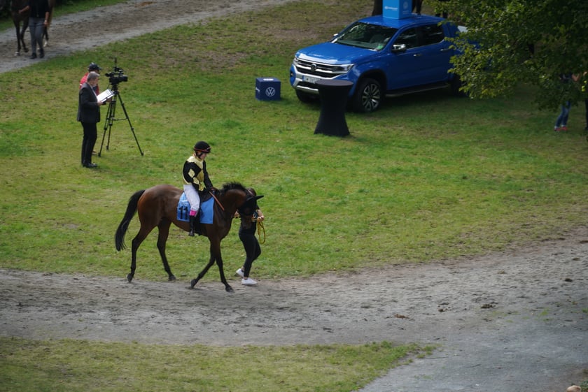 Wielka Wrocławska, gonitwa sezonu na Wrocławskim Torze Wyścigów Konnych Partynice