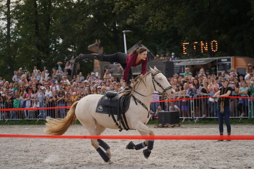Wielka Wrocławska, gonitwa sezonu na Wrocławskim Torze Wyścigów Konnych Partynice