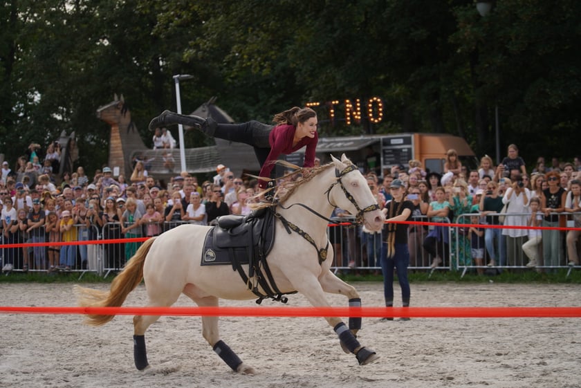 Wielka Wrocławska, gonitwa sezonu na Wrocławskim Torze Wyścigów Konnych Partynice